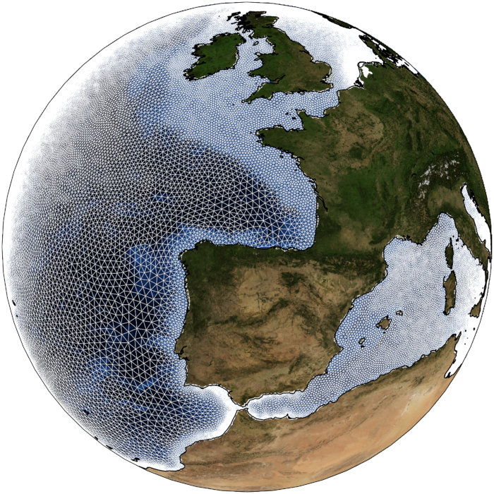 Image of unstructured grid in FESOM2.