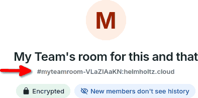 screenshot of room name